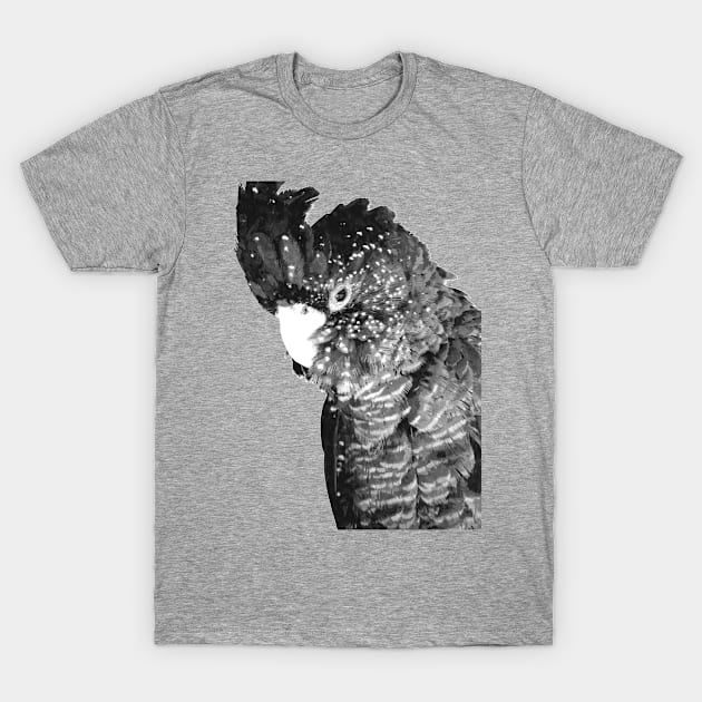 Black and White Cockatoo T-Shirt by Alemi